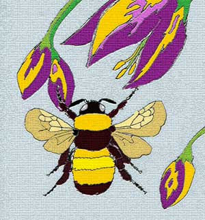 Bumblebee with purple flower by Susan Fluegel at Grey Duck Garlic